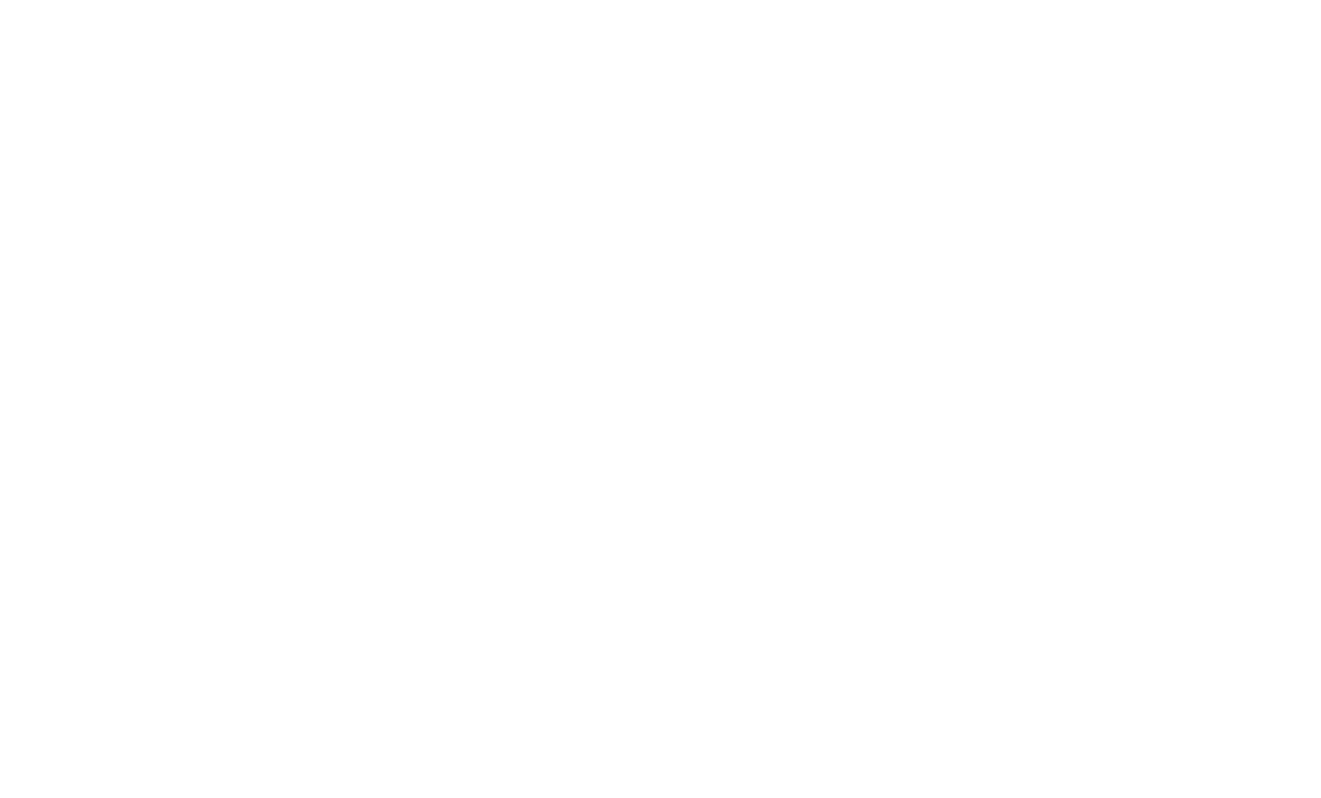 ZB-Logo_weiss_mRand-2.png